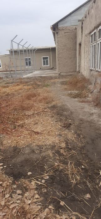 Участка сотилади жондорда