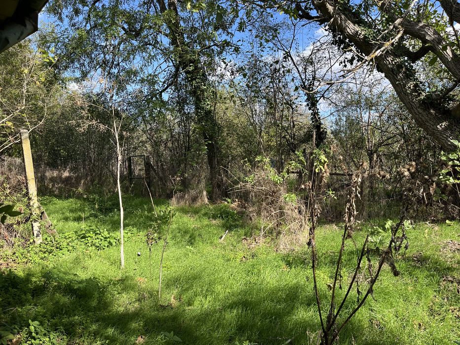 Продава се Къща в с. Трънково, Област Стара Загора - 100 кв.м за 128 €/кв.м - Снимка #5