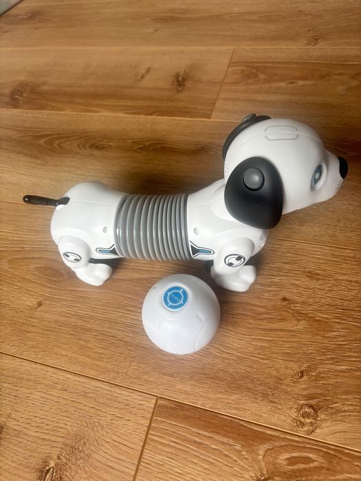 Робо куче с топка