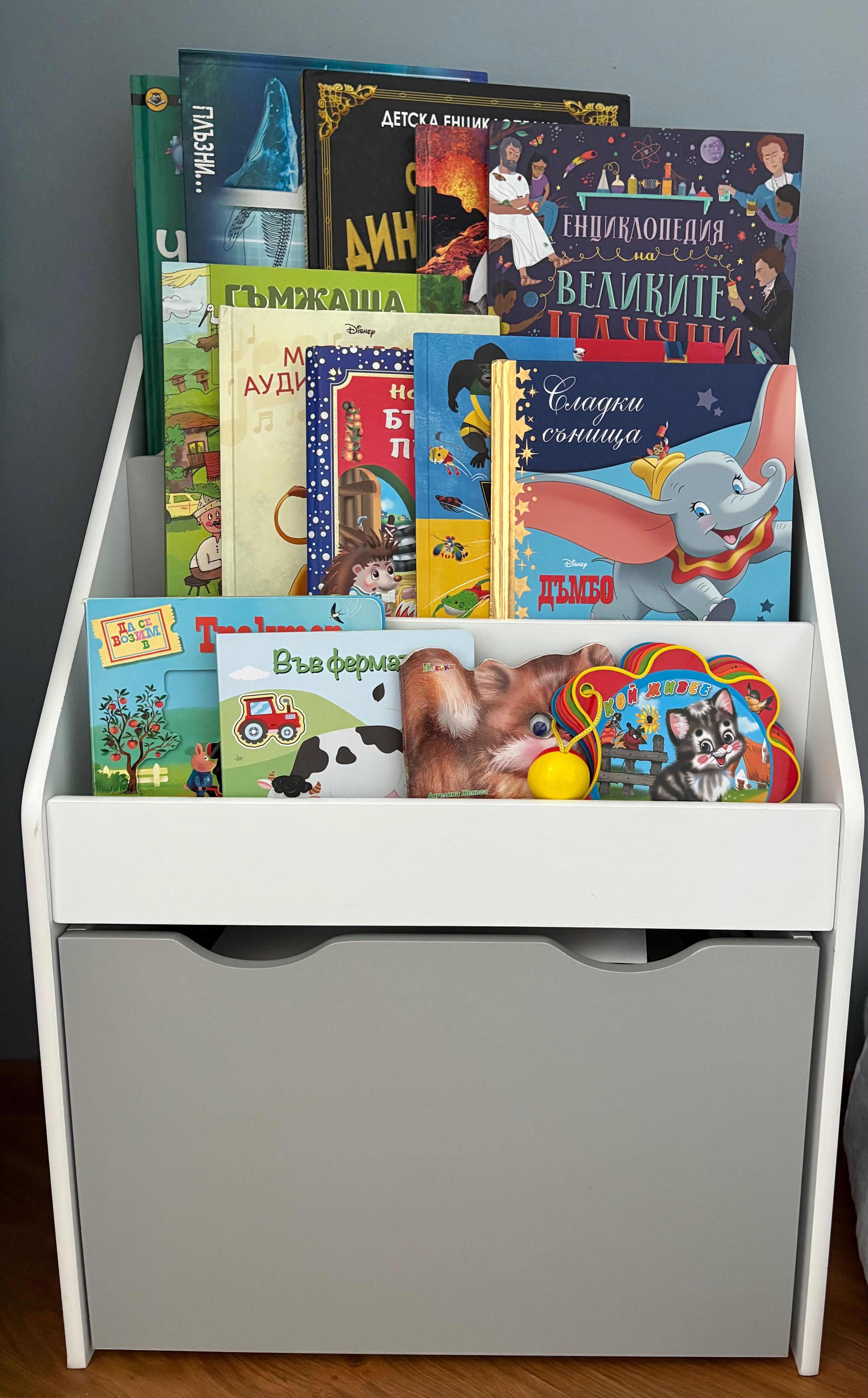 Детски органайзер за книжки и играчки GINGER HOME