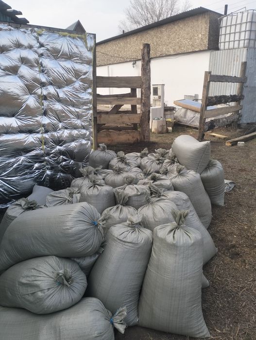 Продам отход семечки