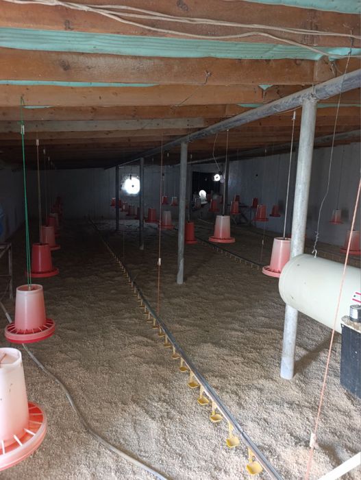 Продаётся дом в посёлке янги арик