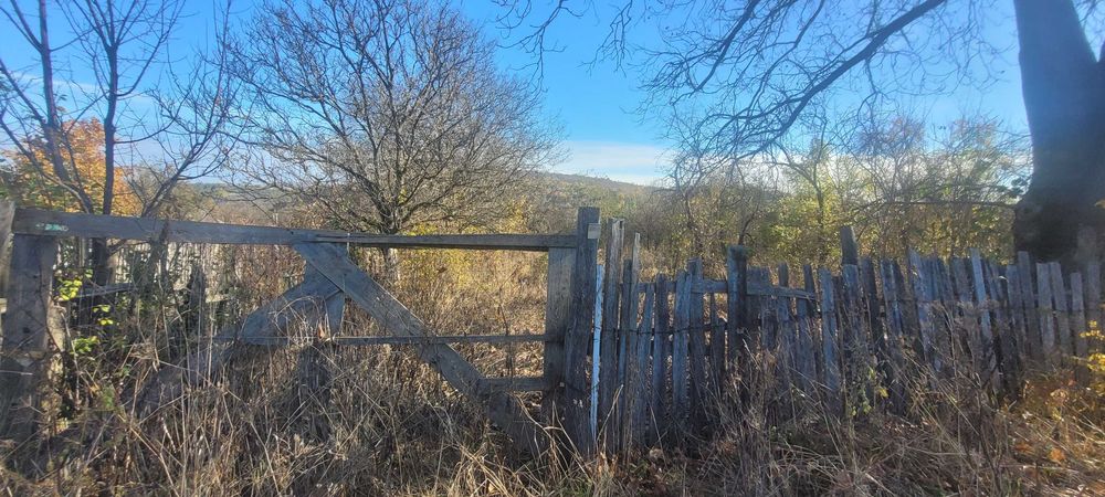 Teren intravilan la 10 min de Onesti cu deschidere 50 m la 8 euro/mp