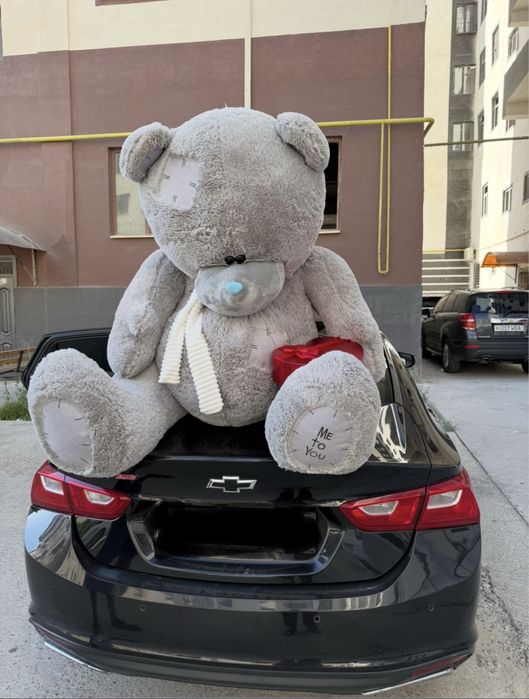 teddy ayiq 1.80 eng kottasi zor holati uyaltrmidi