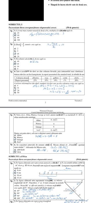 Meditații matematică gimnaziu - zona Paleu sau online