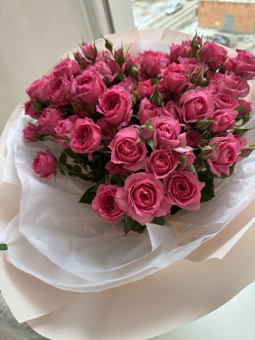 Продаю цветы по низкую цену