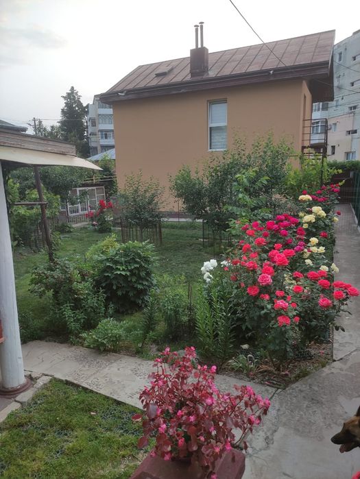 Proprietate in zonă centrală - Roman