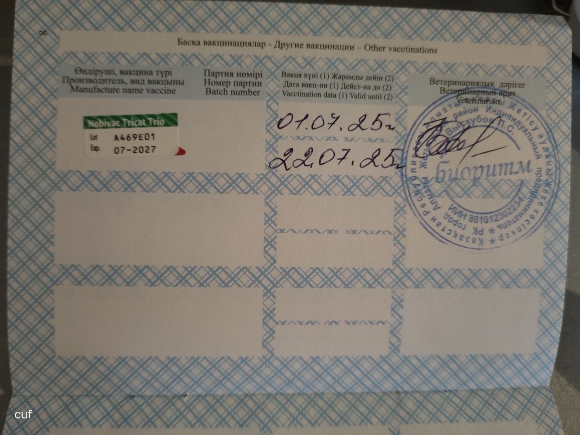 Девочка в добрые руки