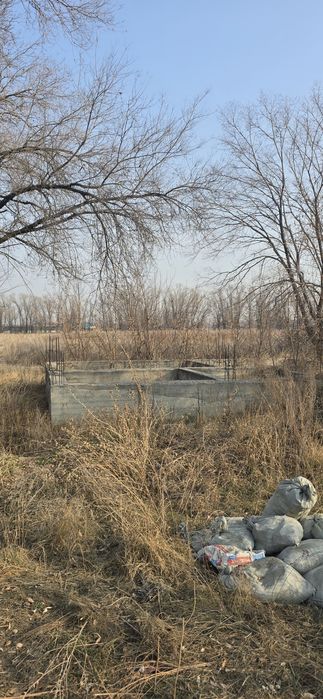 Отдам дерево под дрова.
Можно забрать самим, распилить на месте.