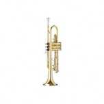 Trompeta Bb Parrot 6416 L auriu