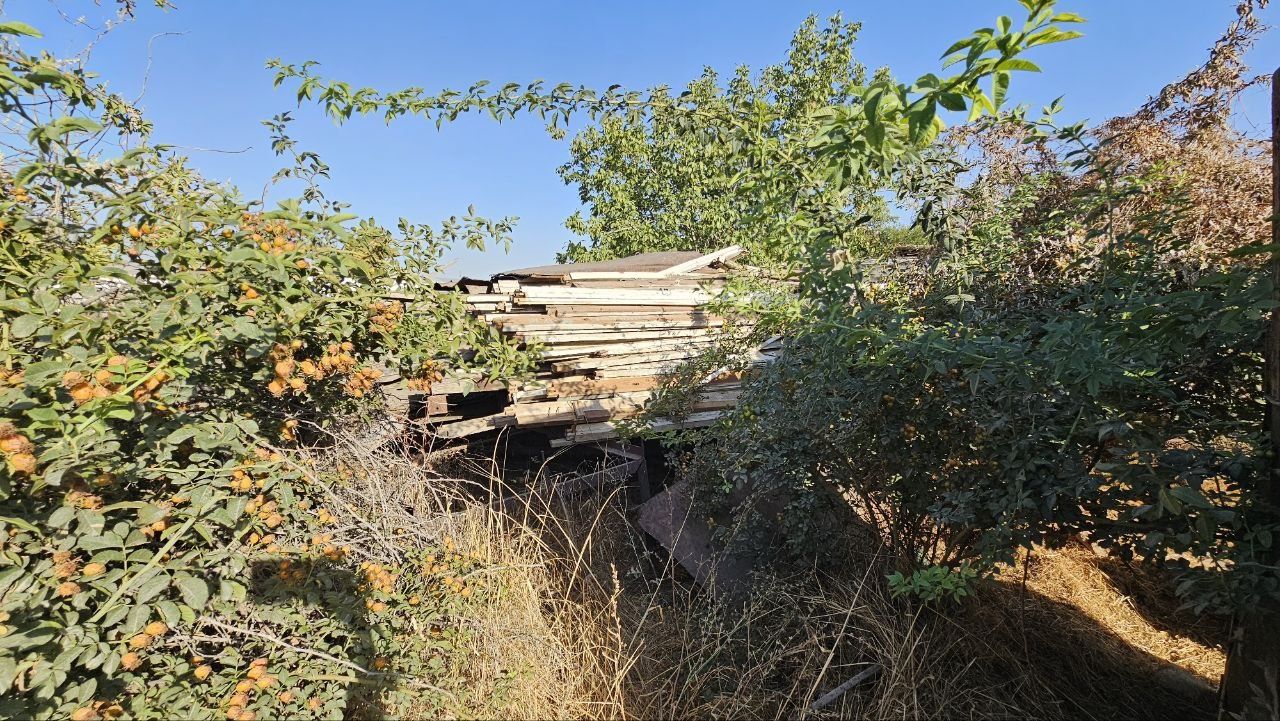 Qurgan otn bor kamda 3 4 walanda tolad ryani oladganla tel qsn