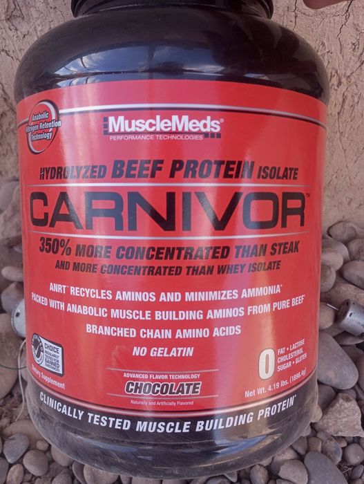 Sport ogʻuqasi pratain