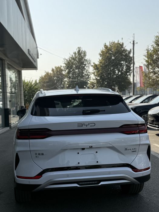 BYD champion smart