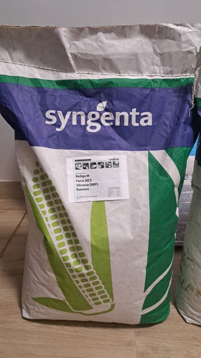 Syngenta samanta porumb