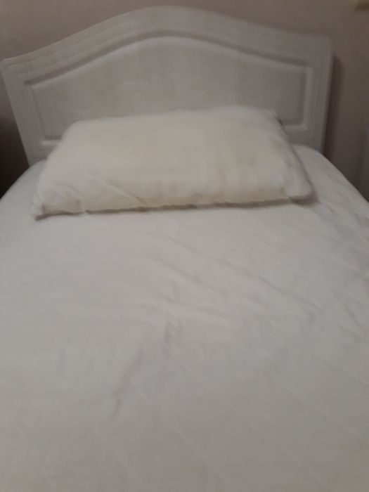 Продам  гусиный пух на подушки.
