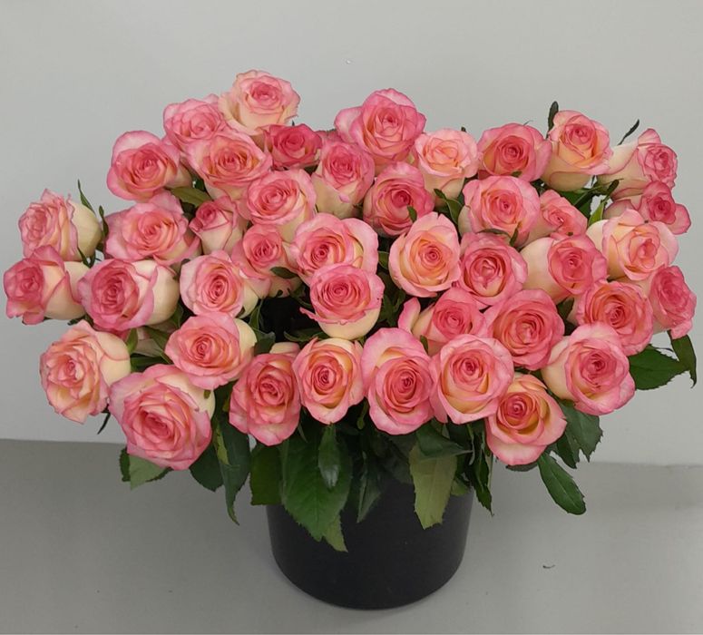 Пррдаются розы 1шт -400 тг