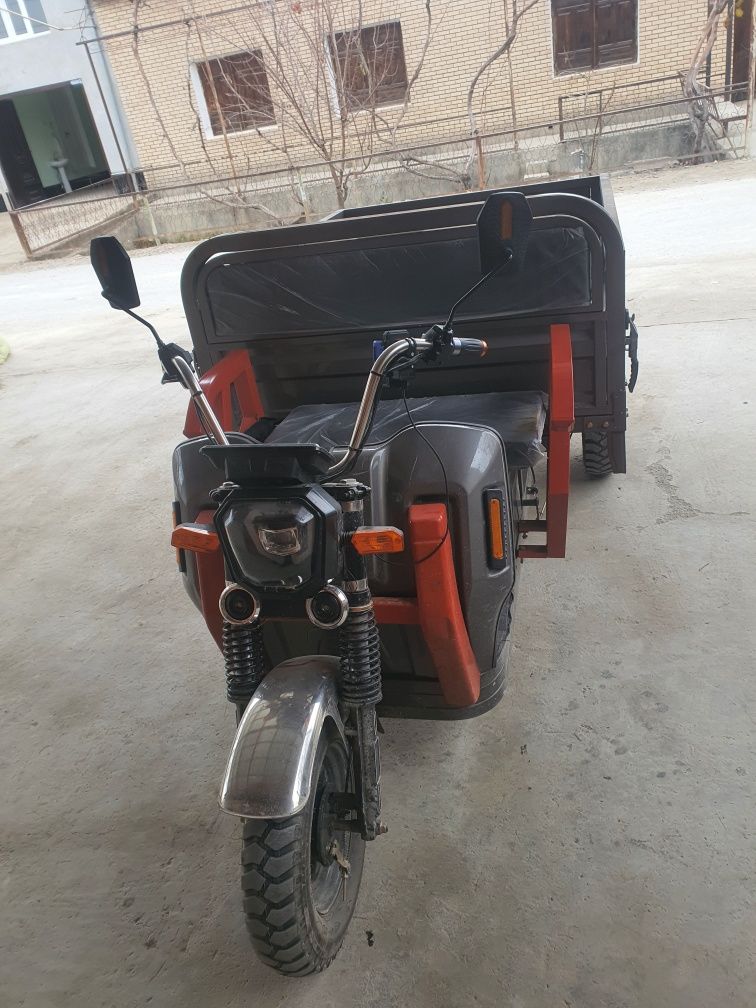 Muravey elektro moto