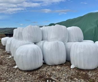 Vând baloti infoliați