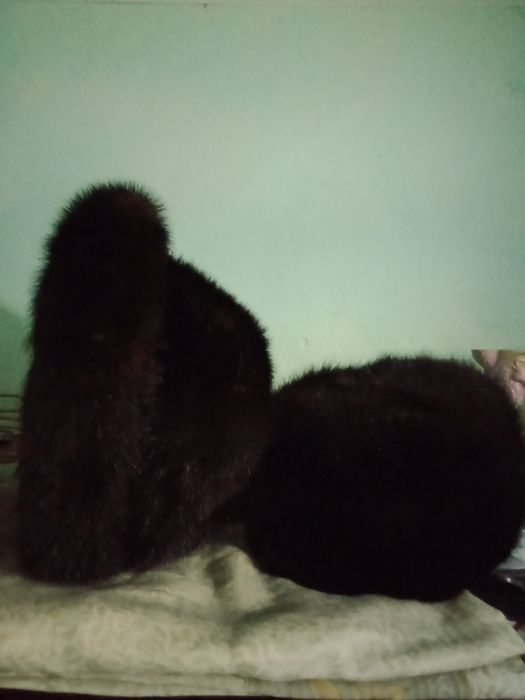 Продаются женская и мужская шапки