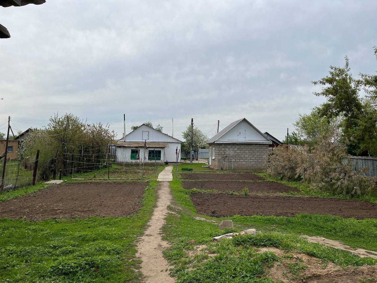 Недорого! Продаю дом в селе