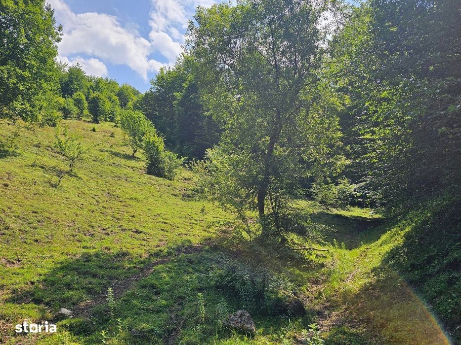 Teren intravilan la Remeți, pe Valea Șipotelor