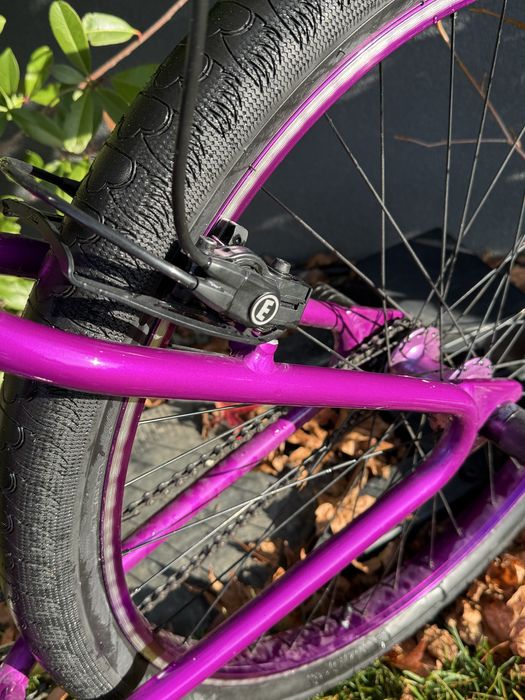 SE bike wheelie , purple rain