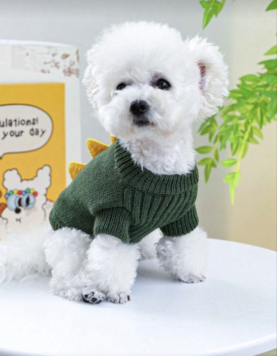 Кучешко яке / елече и пуловер