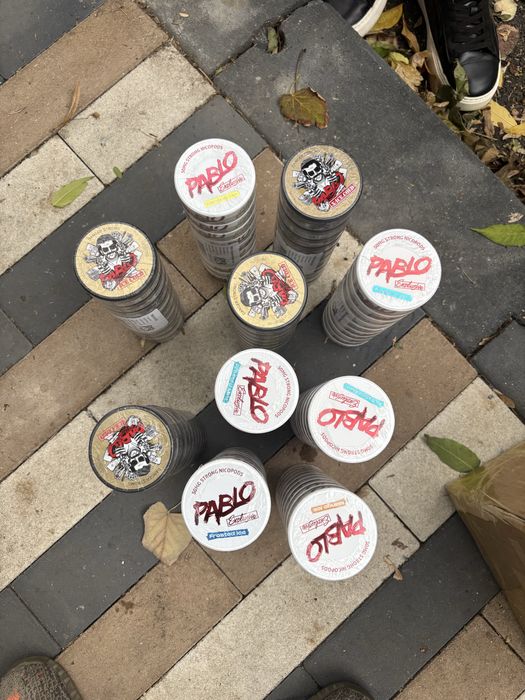 pablo snus mango ice