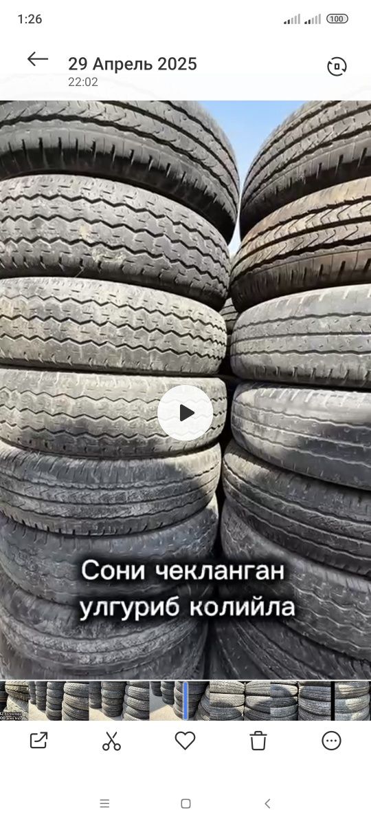 12 дамас лабони балонлари оптимга 99 мингдан