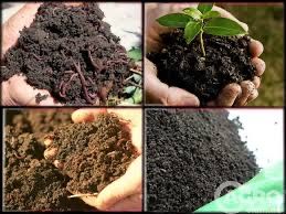 Biogomes dehqonlar uchun ogʻit