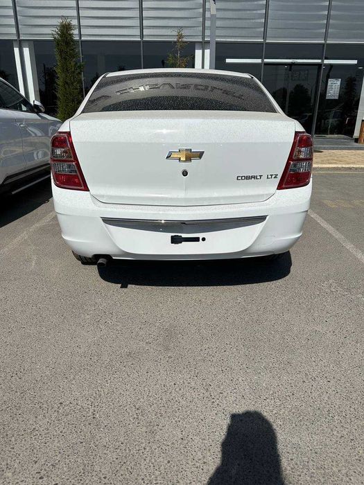 Cobalt 2026 pachka salon