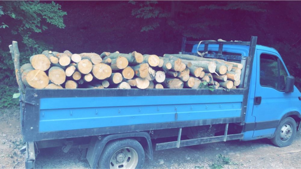 Vând lemne de foc fag ,stejar , carpen !