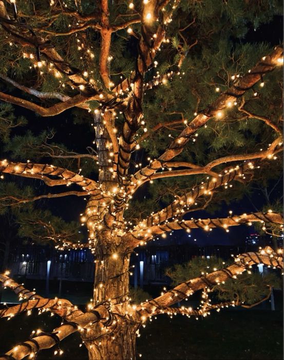 Гирлянда Водопад Дождик Уличный Астана 24/7