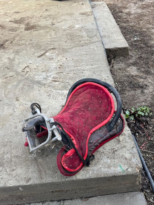 Көкпар Ер тоқым сатылады