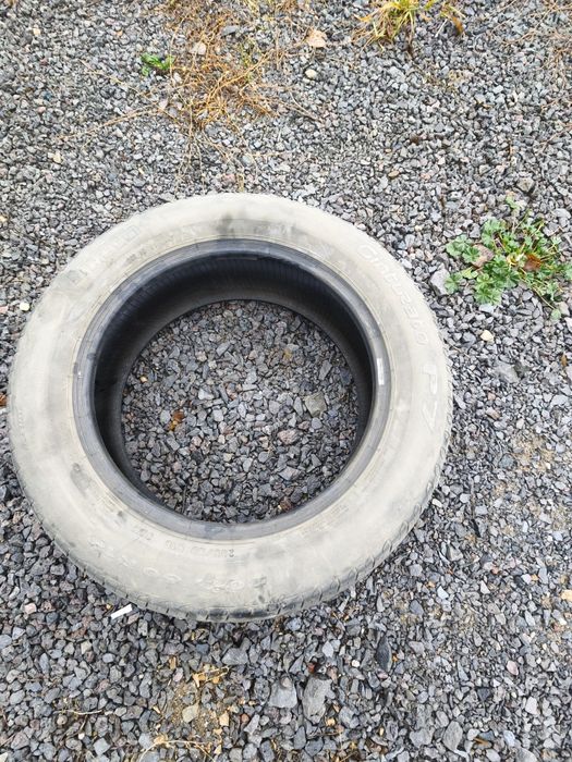 Pirelli R-16 205/55 летние 2 шт