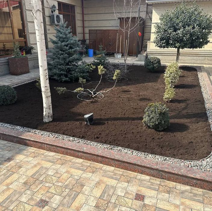 Gazon lanshaft dezayn