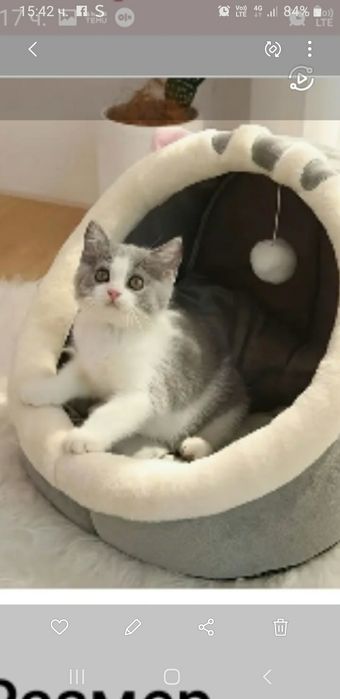 Къща  легло за коте или куче