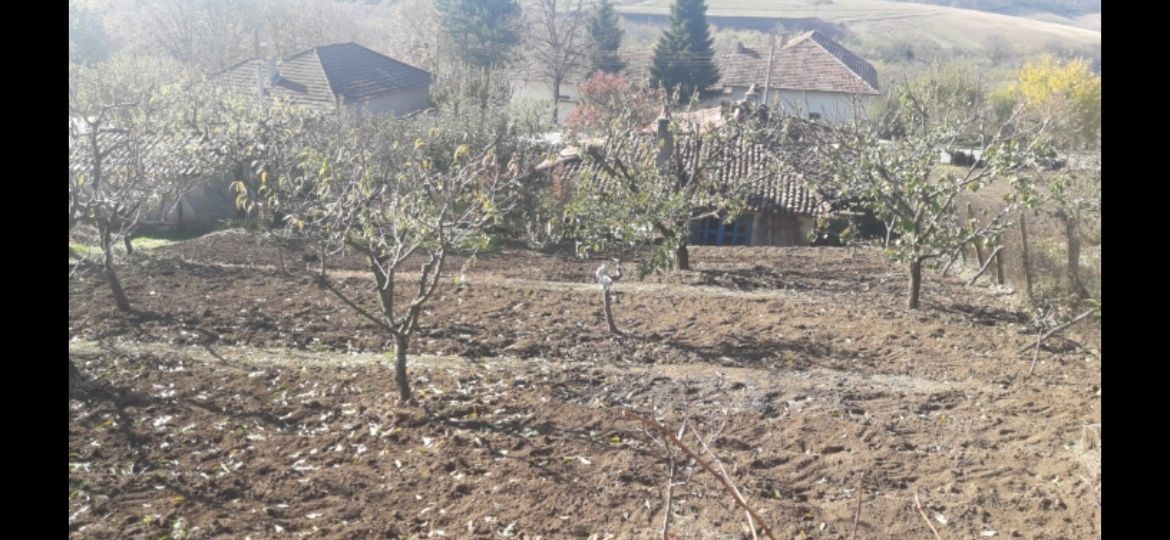 Продава се Къща в с. Нова Попина, Област Силистра - 1000 кв.м за 11 €/кв.м - Снимка #3