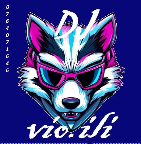 Dj majorat/ banchet/party/corporate/ambiental / Fotograf