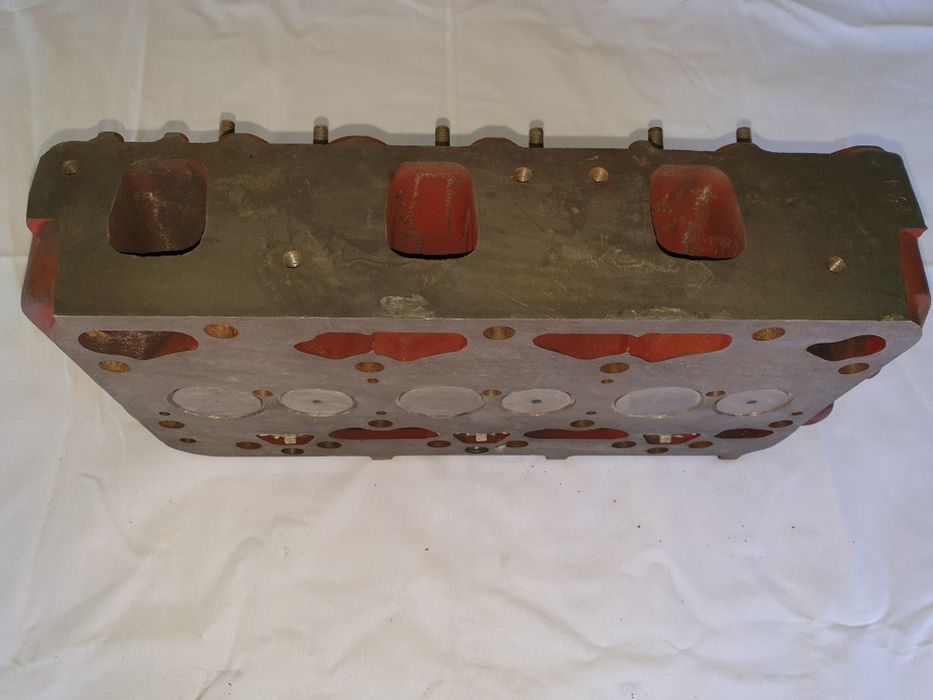 Chiuloasa asamblata U445