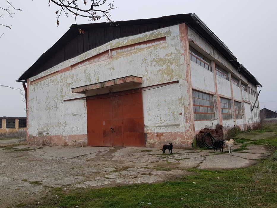 vand hala Berzovia, jud Caras Severin