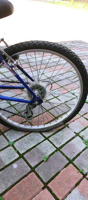 Bicicleta. Pegasus