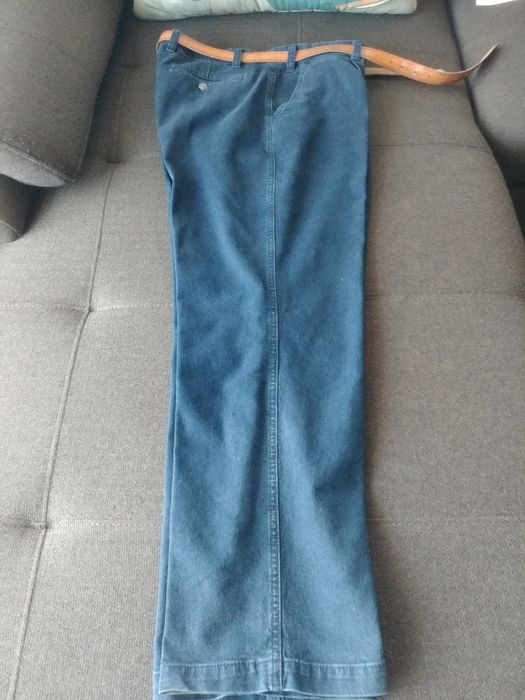 Raiați negri, albastri,închiși și deschisi