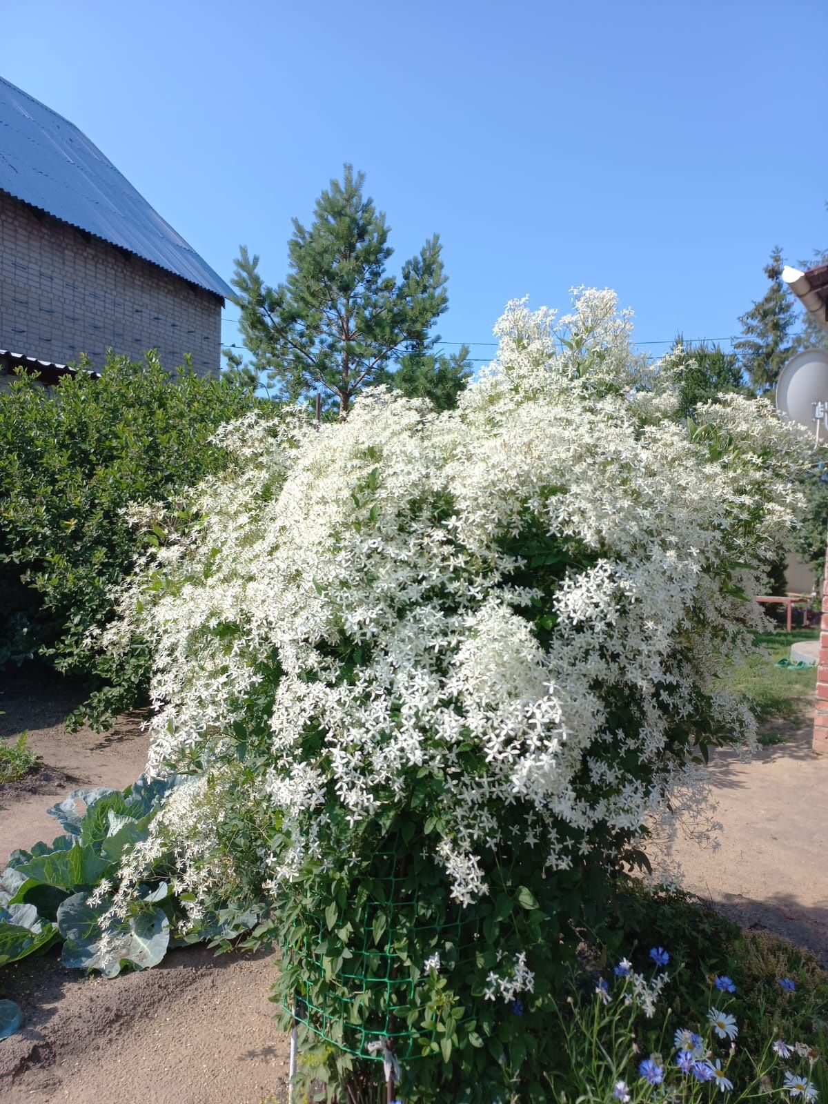 Продам климатис белое облако