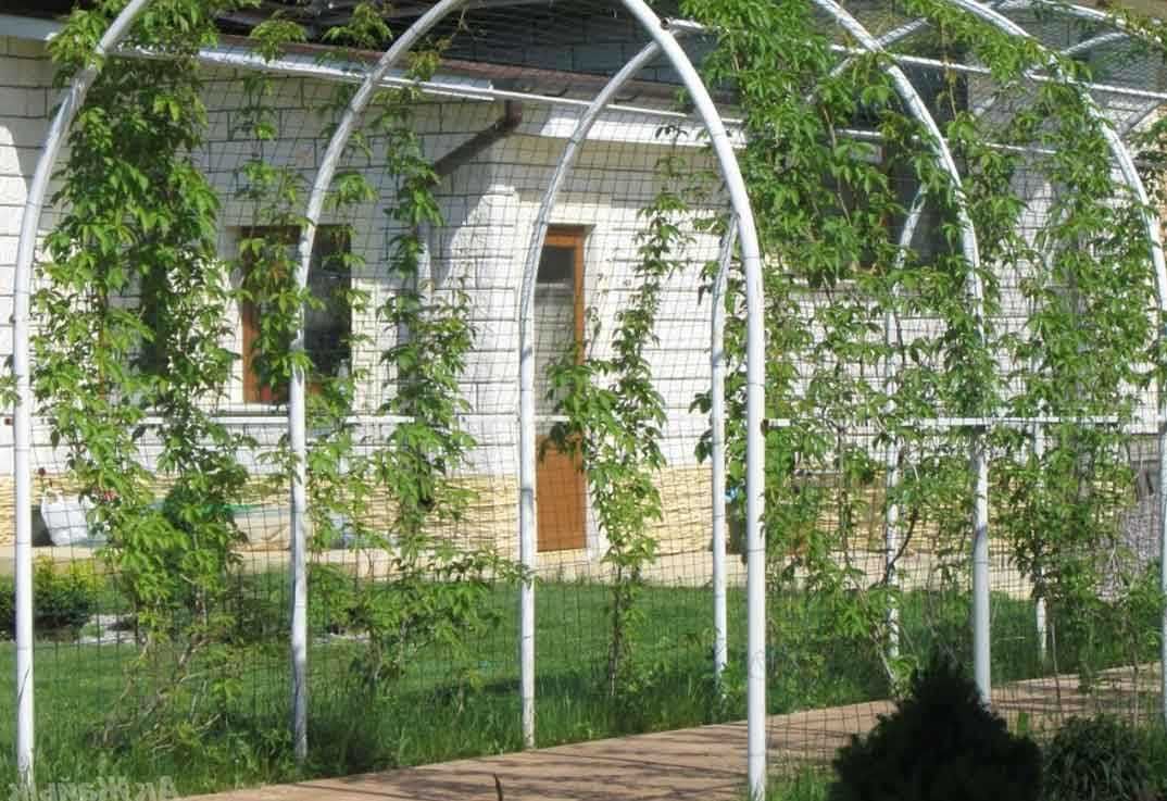Решетки на окна. беседки. арка. КОЗЫРЕК. лексан.
