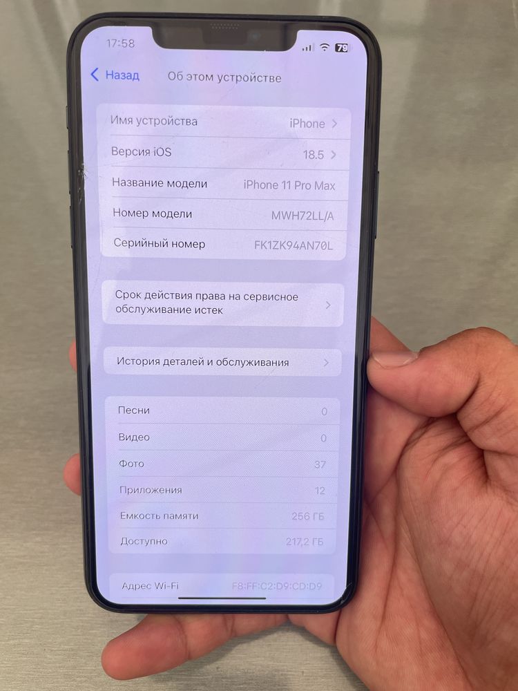 Iphone 11 Pro Max 256 GB IDEAL