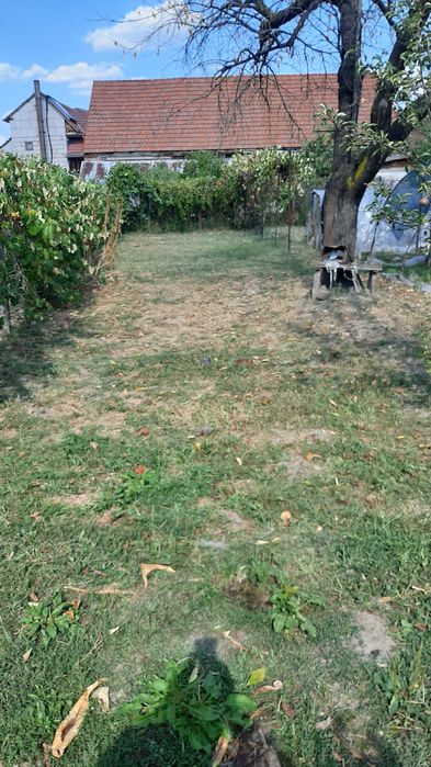 De vânzare casă, curte și grădină în ORĂȘTIE