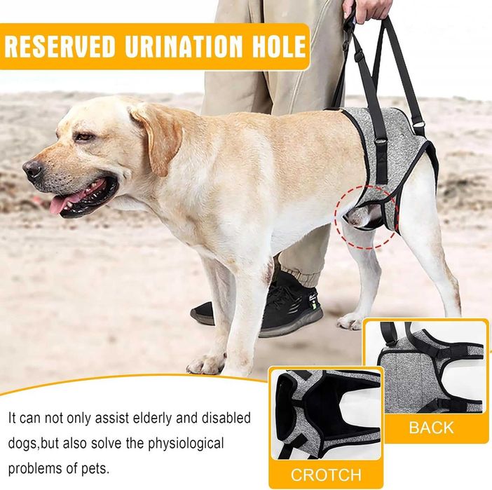 Регулируем колан за повдигане на кучета за задни крака, сив, XL