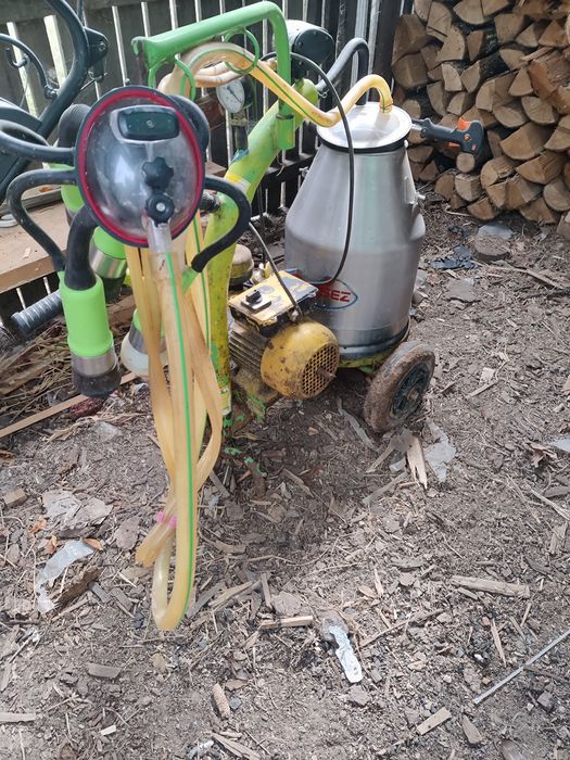 Mulgătoare vaci foarte bine întreținută