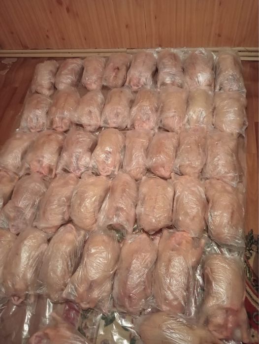 Утка Петропавловские!